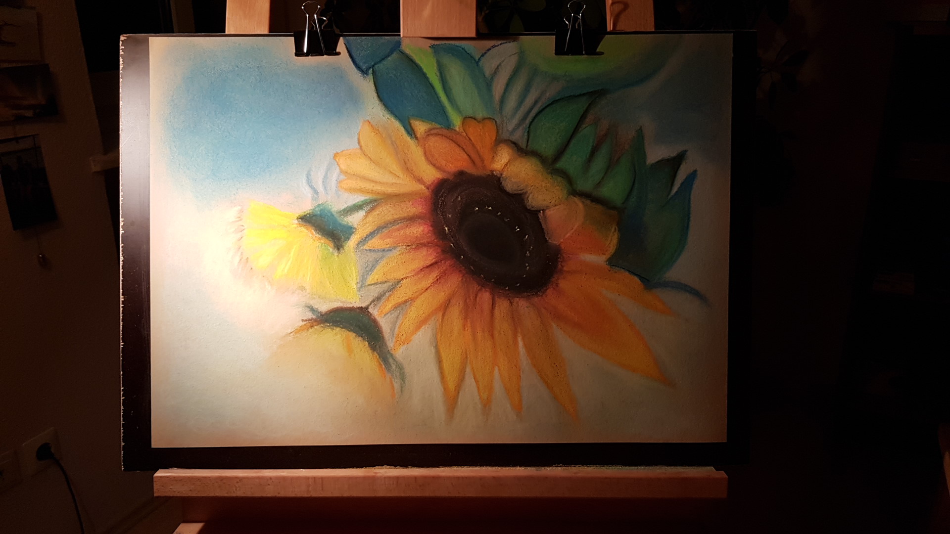 Bild 13_Sonnenblumen